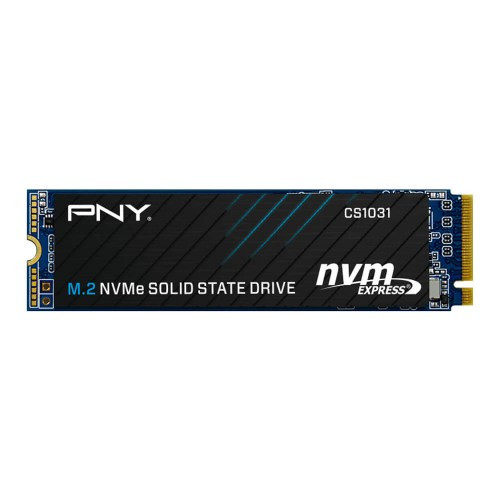 PNY 256GB M.2 2280 SSD